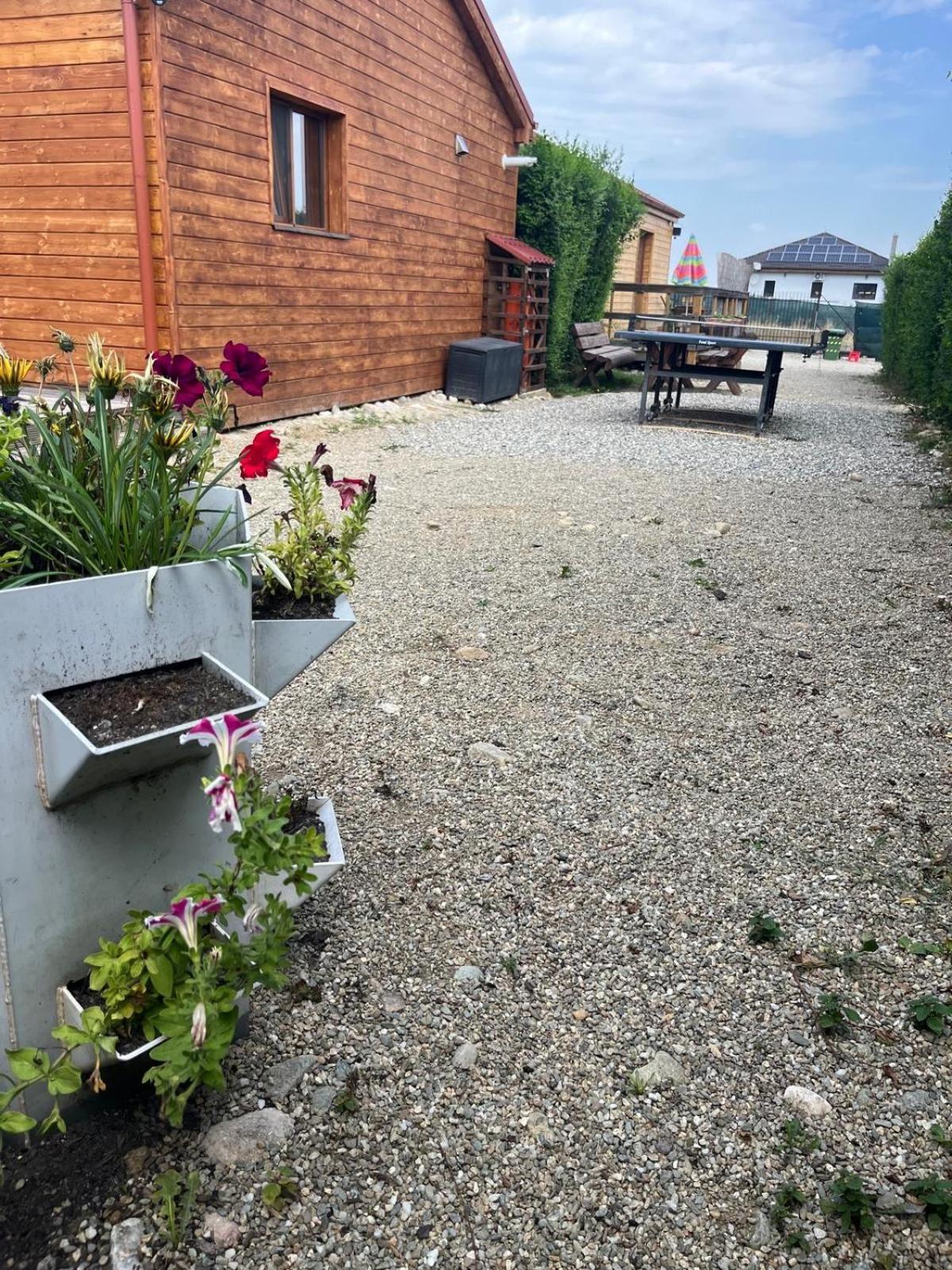 Casute La Munte Villa Rîşnov Kültér fotó